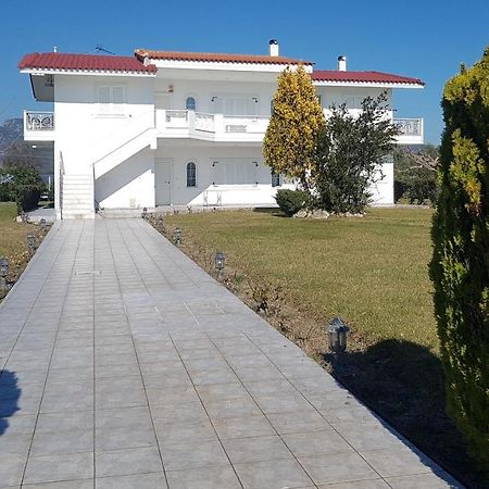 Silver Villa Raches Maisonette & Green Kouvéla Exterior foto