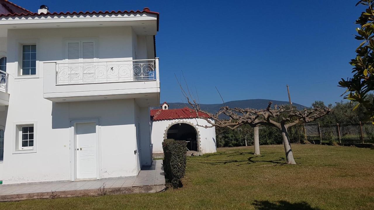 Silver Villa Raches Maisonette & Green Kouvéla Exterior foto
